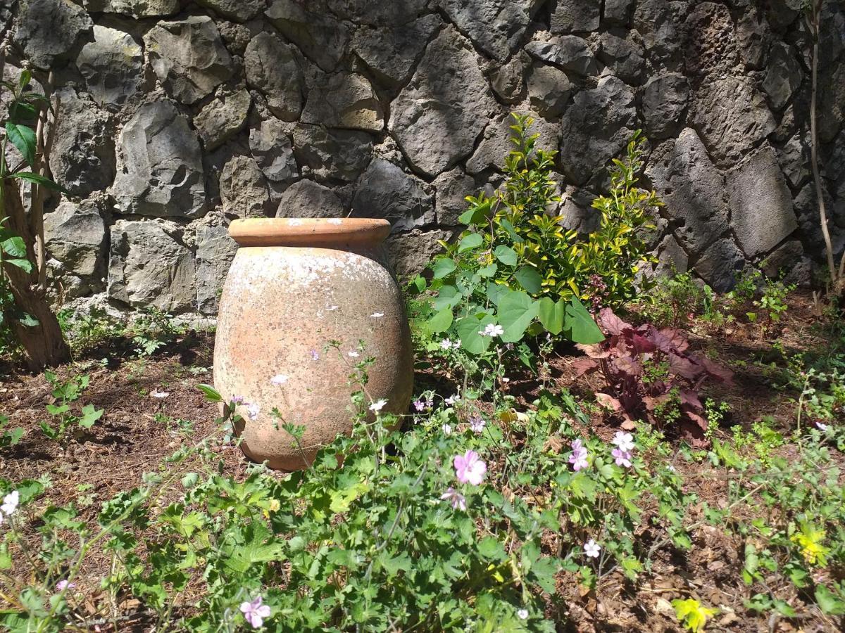 Le Jardin Secret Bed and Breakfast Saint-Antonin Exteriör bild